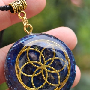 Kelly added a photo of their purchase