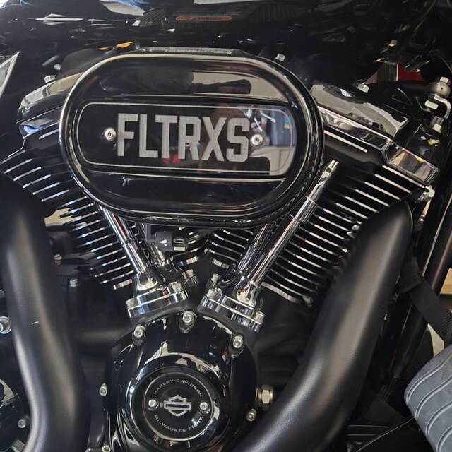 ハーレーダビッドソン 114 M8 エアクリーナー インサート - FXLRS FXBB