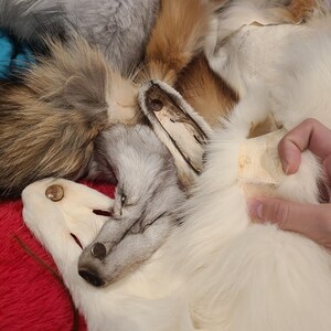 なめし加工された本物のキツネの毛皮：特大動物の毛皮（50インチ