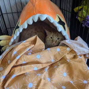 Allison added a photo of their purchase
