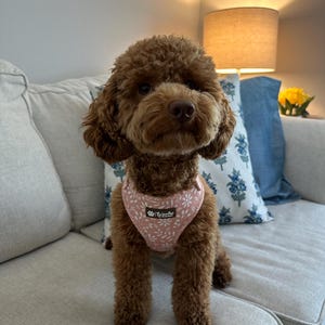 Maggie added a photo of their purchase