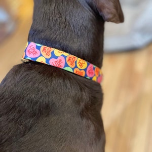 Laura added a photo of their purchase