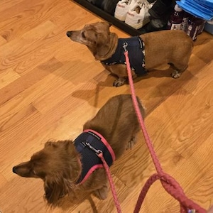 Dana added a photo of their purchase