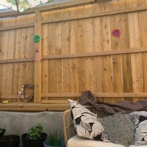 Susan added a photo of their purchase