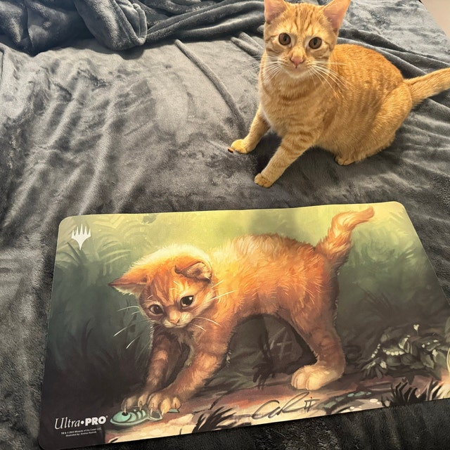 MTG and CS Playmats! - Etsy