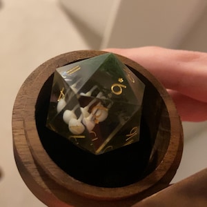 Amelia adicionaram uma foto da sua compra