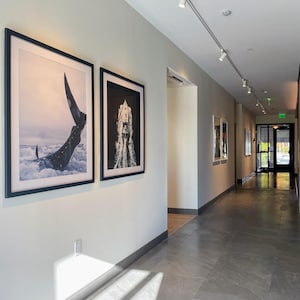 Jenny added a photo of their purchase