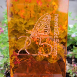 Loni added a photo of their purchase