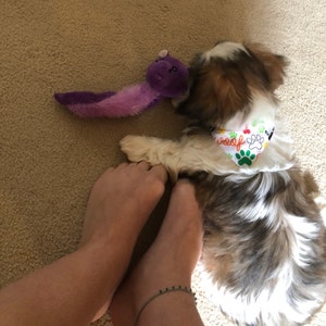 Courtney added a photo of their purchase