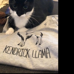 Kendrick Llama T-shirt Tee // Music T-shirts / Band T-shirts / - Etsy