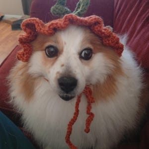 Shroomie added a photo of their purchase
