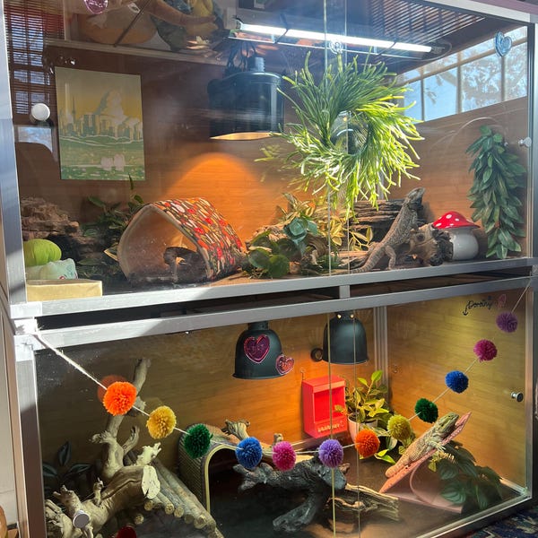 Picture of Aquarium Dome Tunnel | Fish Tank Gravel Hiding Spot/under-view Area - Etsy