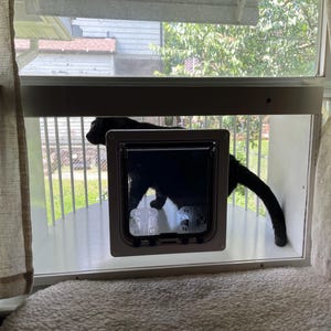 rachel added a photo of their purchase