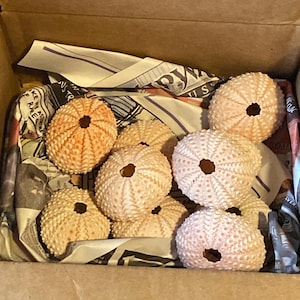 Shanda added a photo of their purchase