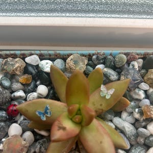 Andrew added a photo of their purchase