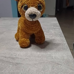 Claudia added a photo of their purchase