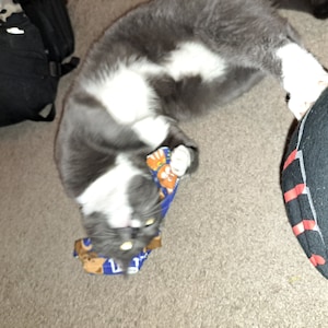 Kristen added a photo of their purchase