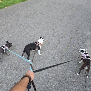 Eric added a photo of their purchase