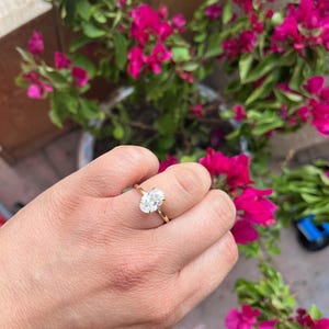 Lauren added a photo of their purchase
