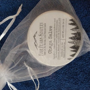 Chaga (Mushroom) Salve + BONUS Chaga Lip Balm