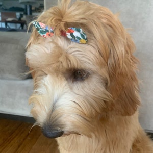 Peggy added a photo of their purchase