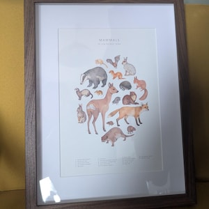 Emma M a ajouté une photo de son achat