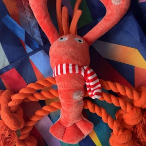 Joel added a photo of their purchase