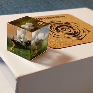 Chonk adicionaram uma foto da sua compra
