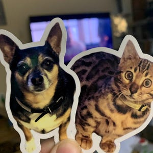 Julie added a photo of their purchase