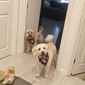 Chloe ha añadido una foto de su compra