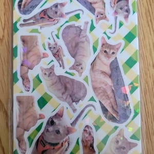 Heather さんが購入した商品の写真を追加しました