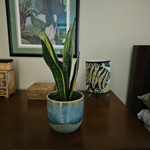 Cynthia added a photo of their purchase