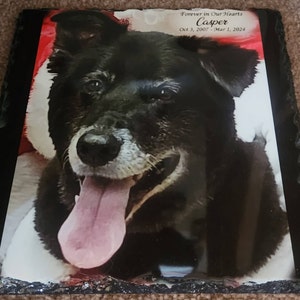 Stephanie added a photo of their purchase