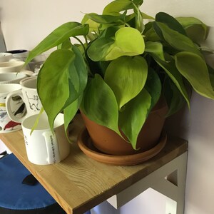 chelseamtatum added a photo of their purchase