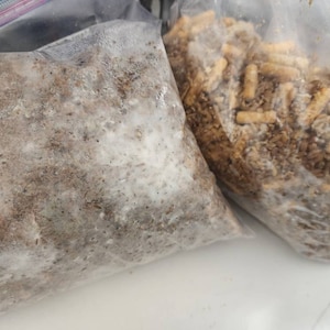 Will added a photo of their purchase