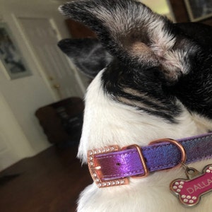 Whitney added a photo of their purchase