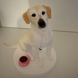 Gabriele さんが購入した商品の写真を追加しました