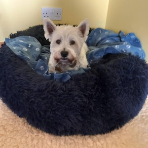 Rosemary added a photo of their purchase