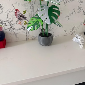 Acquirente Etsy ha aggiunto una foto del proprio acquisto