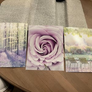 Eva added a photo of their purchase