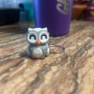 Articulated Tiny Owl Keychain & Toy | Rotating Head | 3D Printed