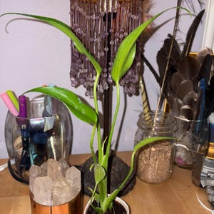 Jesa added a photo of their purchase