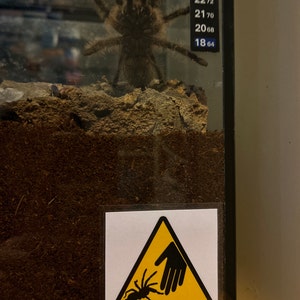 Rambo added a photo of their purchase
