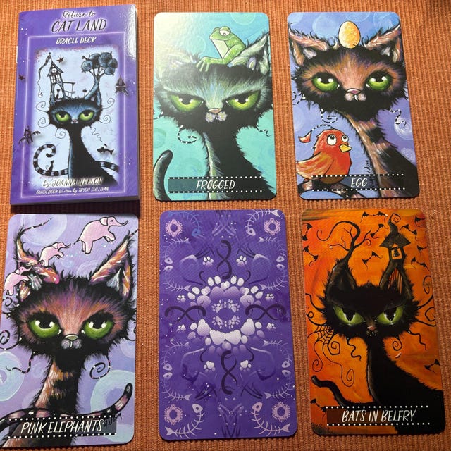 Return to Cat Land Oracle Deck - Joanna Nelson Studio - Etsy
