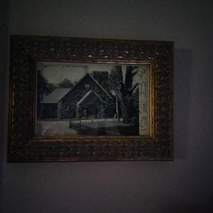 Laurel added a photo of their purchase