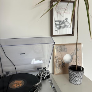 Bastiaan added a photo of their purchase