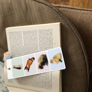 Sophie hat ein Foto des gekauften Artikels hinzugefügt