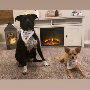 Logan added a photo of their purchase