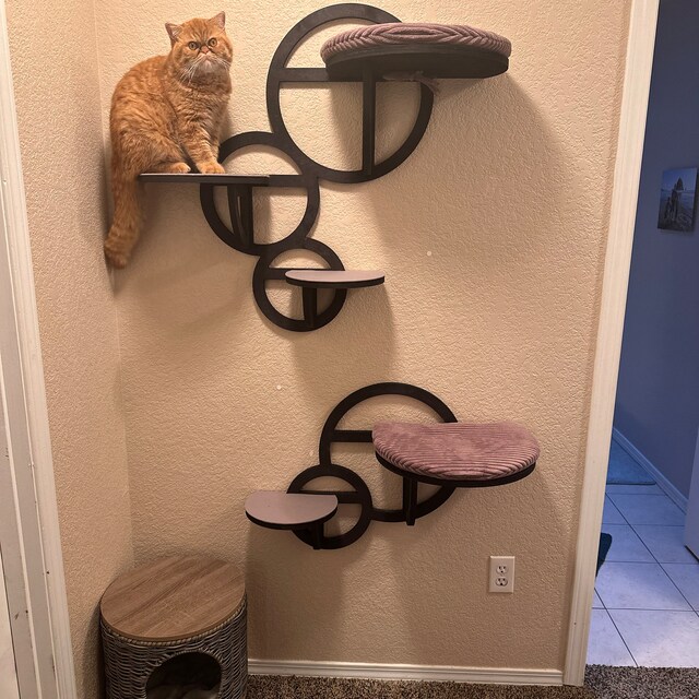 Bubble Shelf With Steps cat Shelves cat Climbing Wall cat Toys