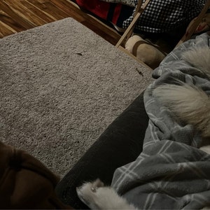 Mary ha añadido una foto de su compra